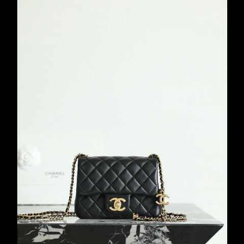 25b cc로고 미니 플랩백 as5758