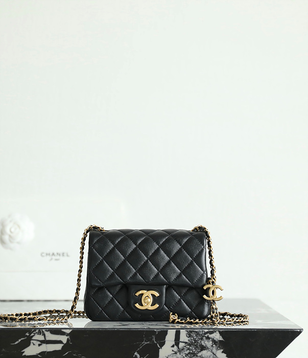 25b cc로고 미니 플랩백 as5758